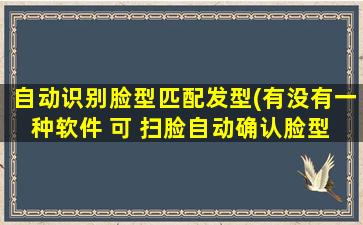 自动识别脸型匹配发型(有没有一种软件 可 扫脸自动确认脸型 然后推荐什么发型的)